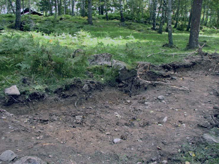 I schaktet togs två makroprover, varav ett i det brungrå lagret (L20191) i stensträngen och ett i det brungrå lagret (L20196) söder om strängen.