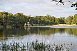 Inhemsk tarmsmitta Misstänkta livsmedel eller vatten, egen brunn