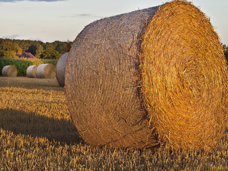 Veckobrev nr 35 (27 augusti - 2 september) 2018 Nu rullar vi igång igen, Styrelsen vill hälsa er välkomna till höstens aktiviteter.