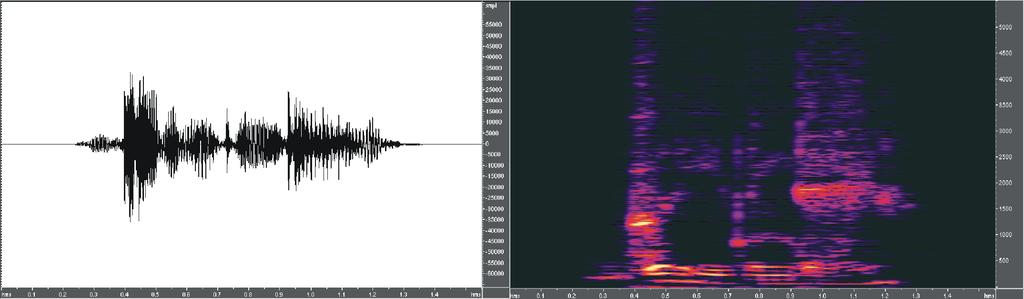 Noggrannare modellering av talsignalen Komponenter i talsignalen: spektrala resonanser (formanter, rörliga) periodisk excitation (tonande, grundton