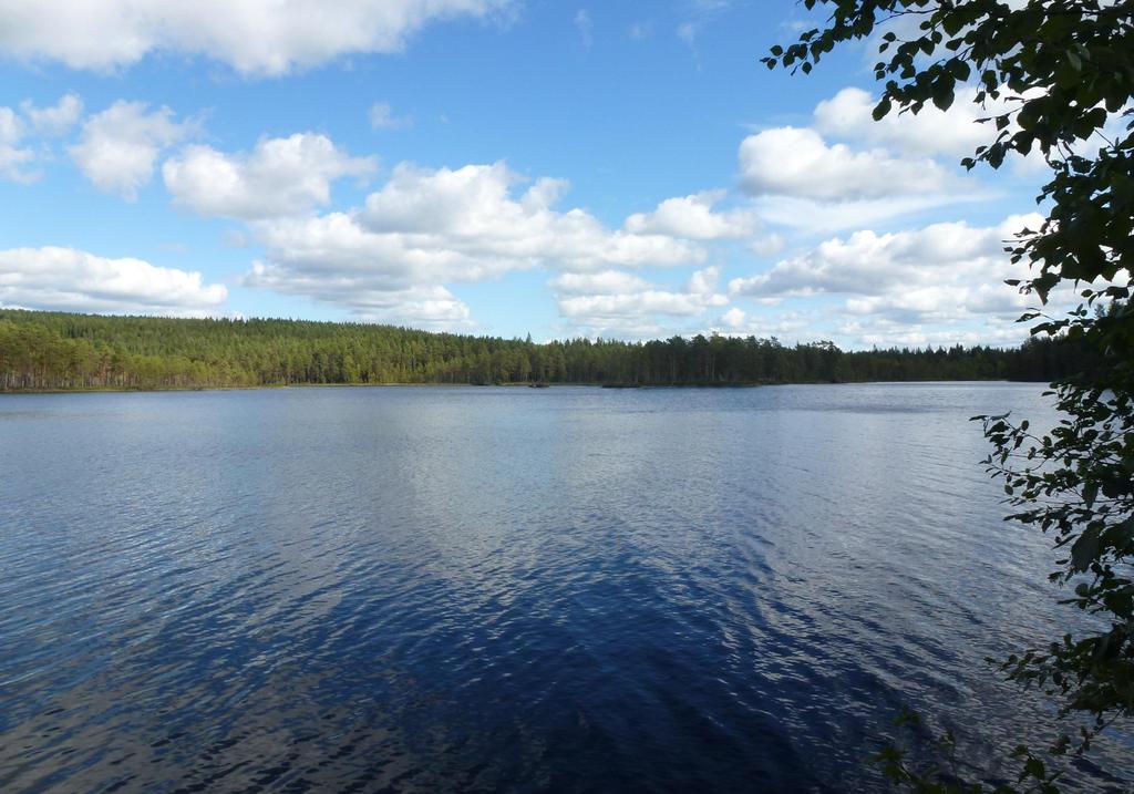 Vad innebär det att vara VA-kund? Verksamhetsområde Det område inom vilket kommunen är skyldig att tillhandahålla en viss va-tjänst. Beslutas av kommunfullmäktige.