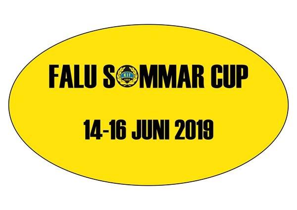 Fredag till Söndag 14-16 Juni Falu Sommar Cup 2019 Från fredag lunch 14 juni spelas fotboll på centrala delar av Falun.