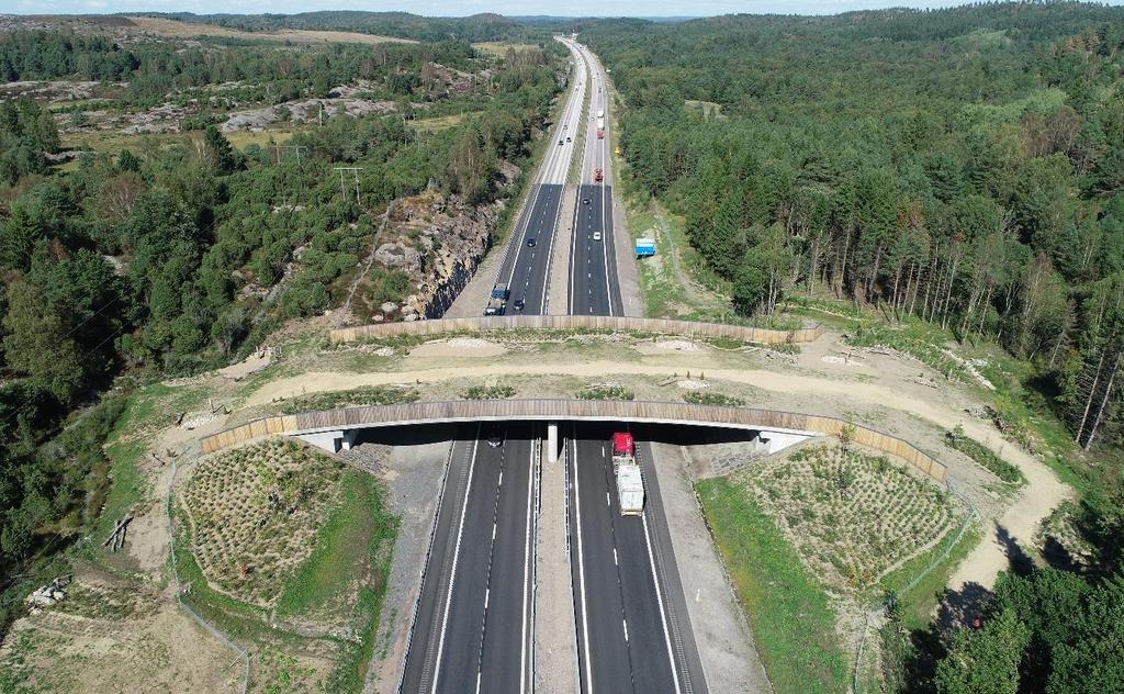 Väg E6, faunapassager vid Sandsjöbackaområdet. Innefattar flera olika åtgärder för att minska viltolyckor och barriärpåverkan.