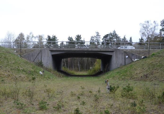 Trimning av befintliga broar eller portar Det är inte säkert att en nyproduktion av faunapassage är bästa lösningen, ibland kan en anpassning av befintligheter få önskvärd funktion.