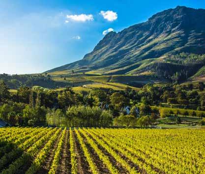 Härifrån kan du köra längs en av världens vackraste kuststräckor, The Garden Route, där du också hittar några av södra Afrikas bästa stränder.