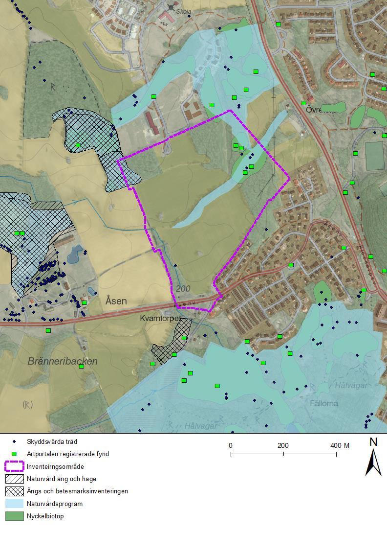 Figur 3. Kartan visar avgränsning av inventeringsområdet med lila streckad linje. Nyckelbiotoper är markerade med grön färg och objekt från det kommunala naturvårdsprogrammet med blå transparent färg.