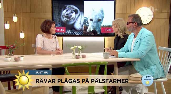 Djuren i pälsindustrin Pälsindustrin föder upp och dödar djur enbart för att människor vill klä sig i deras pälsar. I Sverige dödas varje år cirka en miljon minkar enbart för sin päls.