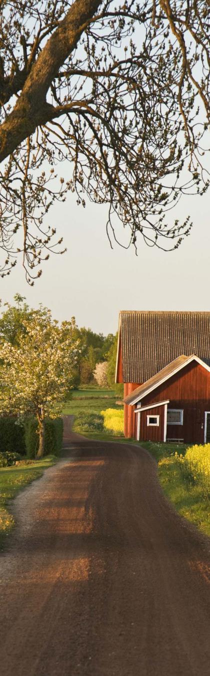 Ersättning jordbruk - Mark, försvårad brukning, förlängda ägoavstånd, passage av väg, fältkantverkan, försvårad betesdrift och ökat stängselbehov, anpassningskostnader mm