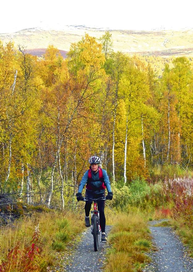 Stabbfors Trail Easy trail incorporating varied terrain.