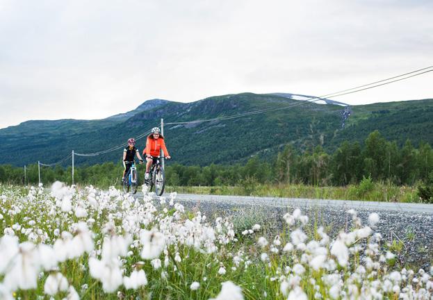 Around Lake Laisan This can be perfect training session or just a pleasant outing for the family. Bring swimming clothes or hiking boots! Starting in Hemavan, cycle along the E12 towards Tärnaby.