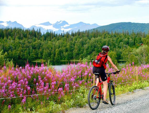 Around Lake Værntresk Discover Norwegian roads - winding and full of hills! But the view of the Okstindan summit and the beautifully situated farmsteads and small villages are breathtaking.