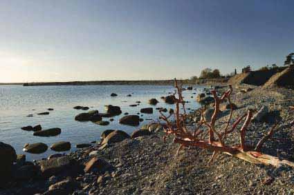 I väster vid nedre grinden mot Bungeviken, vid infartsparkeringen samt vid strandlinjen i öster mot sundet.