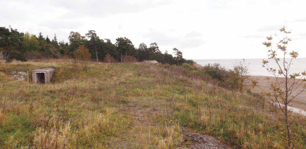 Befintlig bunker Byggnad nr 22:40 Nedgång byggnad 22:41 Vägen Pjäsfundament/byggnad nr 64 Byggnad nr 22:41 Byggnadsbestämmelser Bunkrarna 64, 22:40 & 22:41 ligger på rad uppe på höjden ovan den yttre