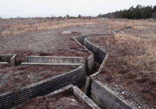 Begränsad höjd från nollplanet enligt detaljplanekarta.