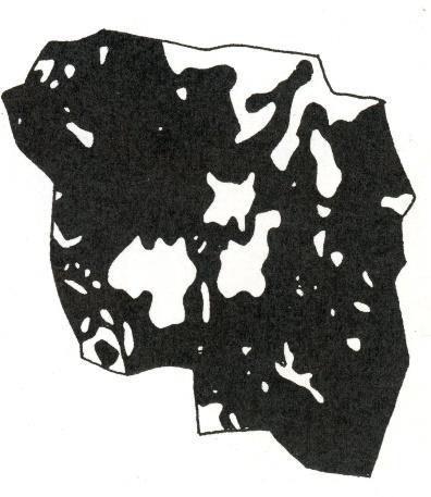 stenåldern 4000-1800