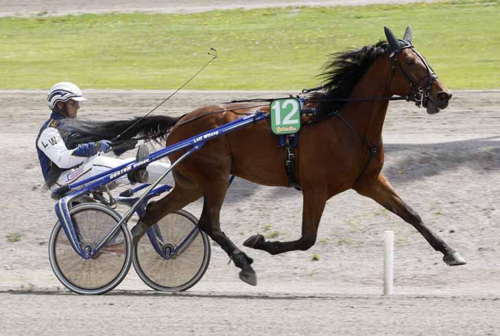 000 V65-1 S 120125 12/2140 1 15,4a 40 Leif Witasp 60.000 V86-4 Foto: Hanold/Foto-Mike 1 2 2 SANDRNGHAM HANOVER 100.000 kr VIGGO TRIZZ 88.000 kr ZIC ZAC LIFE 88.