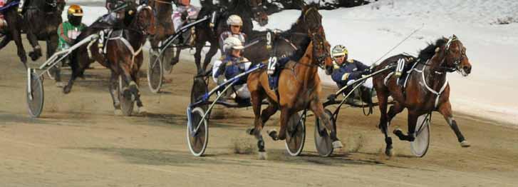 Leif Witasp har sannerligen rivstartat 2012. Ikväll ordnade han stallets åttonde seger och närmar sig halvmiljonen inkört. På bara en månad!