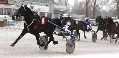 nyhetsbörsen januari2012 120127 Yucay Boko gjorde sin plikt Yucay Boko behöver inte visa hela sitt register för att gå undan till en enkel seger. Nu är Yucay Boko tillbaka som en vinnare.