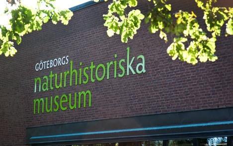 Göteborgs Symfoniker Visningar på Göteborgs Naturhistoriska museum Under hösten kommer vi att ha tre visningar för personer med intellektuell funktionsnedsättning på