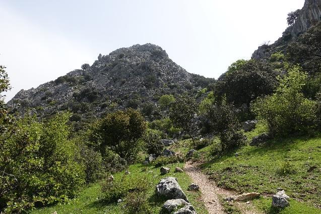 Sierra de Grazalema, Grazalema Ronda, 7 nätter 3(6) vidare uppför berget med kalkstensskulpturer vid din sida.