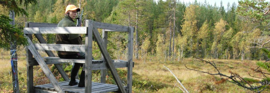 FOTO JAN HENRICSON, SVENSK JAKT Inledning Vid förvaltning av en älgpopulation är det viktigt att känna till antal djur, reproduktion och dödlighet. Dödligheten orsakas till största delen av jakt.