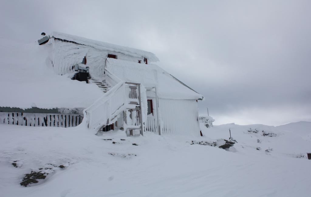 Bakgrund I lag (2003:778) om skydd mot olyckor och förordning (2003:789) om skydd mot olyckor anges att Polismyndigheten ansvarar för statens skyldigheter vad avser Fjällräddningstjänst och