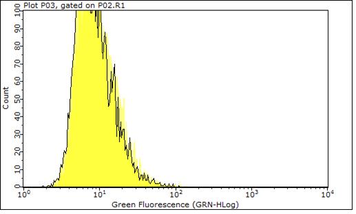 (c) Sense5B (d) Positiv kontroll. (e) Alla mätningarna överlappande Figur 18: Första fluorescensmätningarna under glukosstadiet illusterad i 5 olika bilder för respektive plasmid transformation.