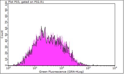(c) Sense5B (d) Sense(5B+9) (e) Positiv kontroll (f) Alla mätningarna överlappande Figur 22: Andra fluorescensmätningarna under glukosstadiet illusterad i 6 olika bilder för respektive