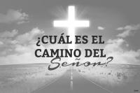 St. Estanislao INVITAN A SU CONCIERTO DE NAVIDAD Dejemos que la luz de Cristo