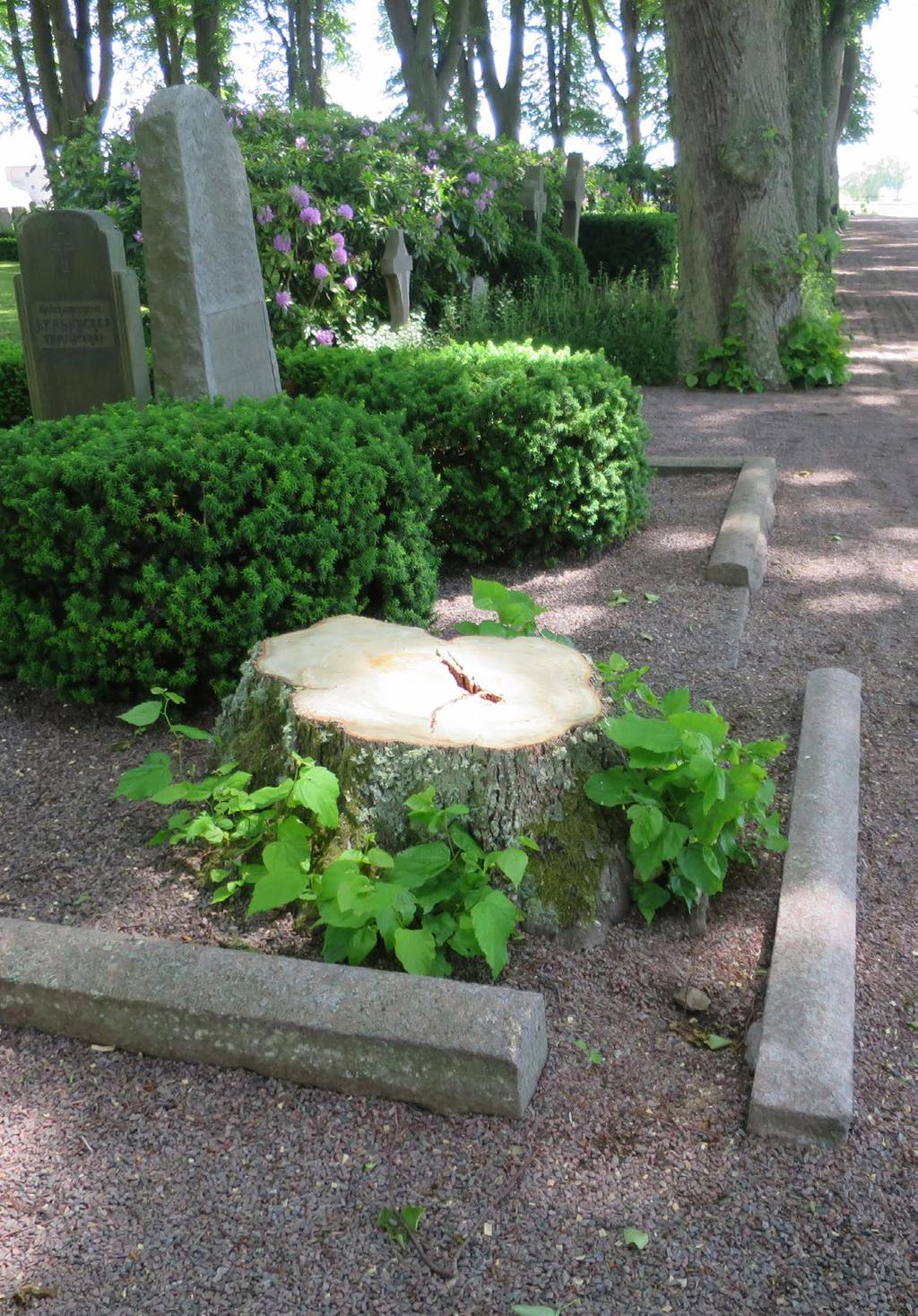 Södra kyrkogården Antikvarisk