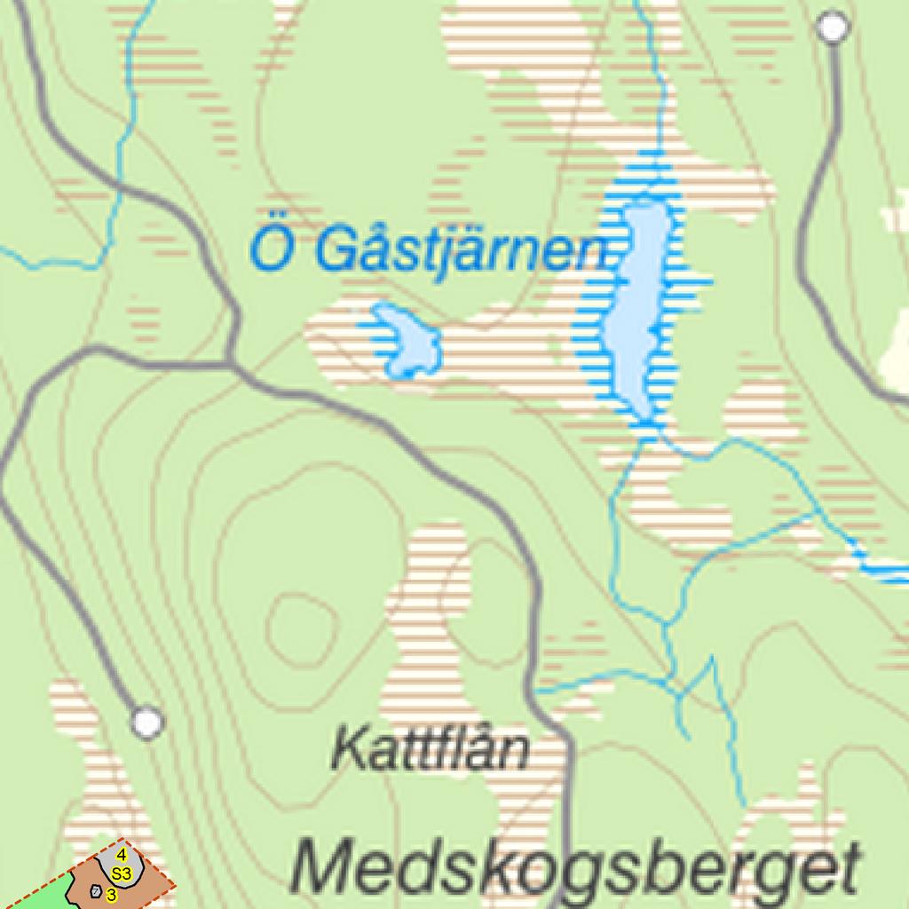 Föryngsringsavv-skog