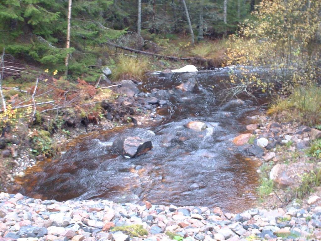 Valstaån och sjöarna uppströms I norra delen av avrinningsområdet på gränsen mellan kommunerna Köping, Skinnskatteberg och Surahammar ligger Vågsjön (Figur 4).