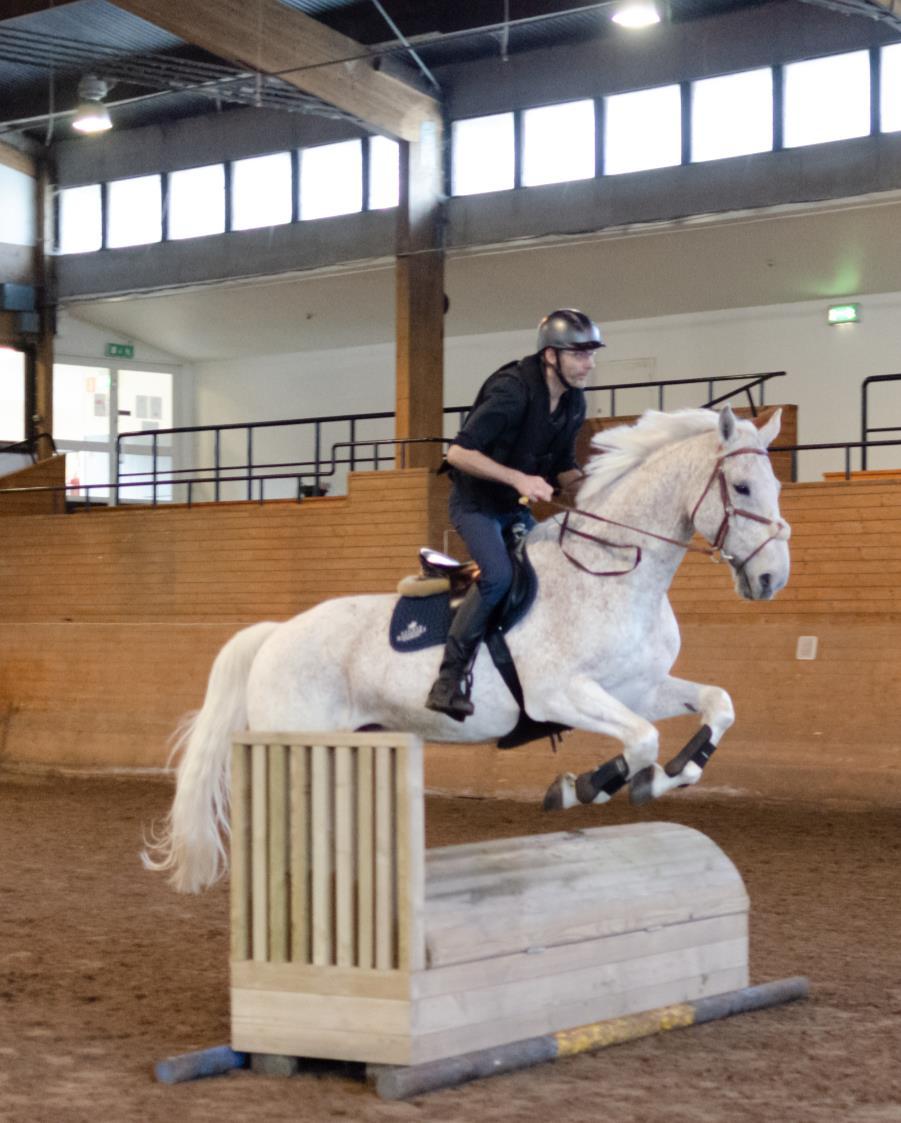 -Många tror att vi som rider i fälttävlansgruppen är modigare än alla andra, men det stämmer inte tror jag.