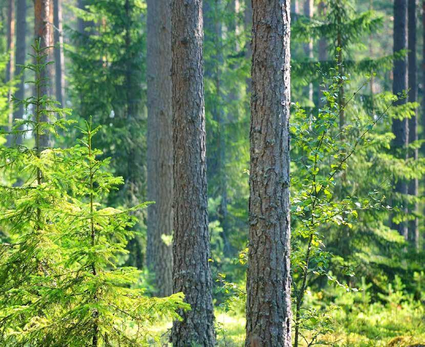 Miljö- och kvalitetscertifiering BEVI AB har ett kvalitetsledningssystem som är certifierat
