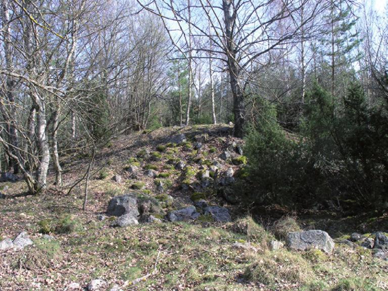 Figur 3. En av gravarna på gravfältet Västerås 403:1. Ledningsschaktet med de två härdarna ligger i åkermarken direkt sydväst om gravfältet. Fotograferat från väster av Maud Emanuelsson.