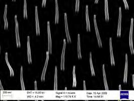 6.3. Paper III Diffraction from carbon nanofiber arrays z y νout (a) 0 60 55-20 50-40 45 40-60 35 30-80 25-100 20 0 10 20 30 40 50 ν in (c) θout θout (b) x 90 80 70 60 50 40 30 20 20 40 60 80 100 θ