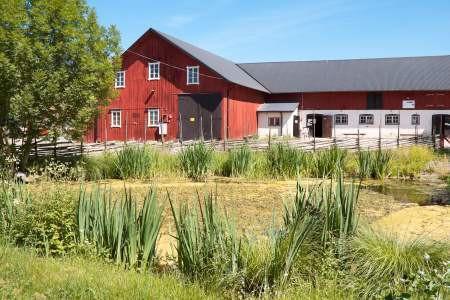 Lördagen den 15 juni: Gränby 4H-Gård 12.00-15.00 Följ med oss till Gränby 4H-Gård för att titta på alla djur. Där kommer vi bland annat att få se hästar, kaniner, kor, grisar och får.