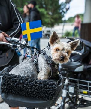 Vi är stolta över att vårda och utveckla det kulturhistoriska arv som Hågelbyparkens byggnader och parkområde utgör. I vår verksamhet jobbar vi aktivt med att synliggöra och förstärka detta kulturarv.