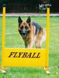 Hoppa hinder och hämta boll Din hund ska vara frisk och intresserad av bollar. Det bästa är att du delar upp din flyballträning i flera delar (moment).