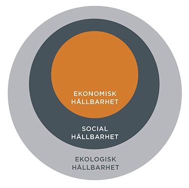 beslut om nytt reglemente för Trafiknämnden, gett stadsledningskontoret i uppdrag att redovisa ett förslag där kontoret ansvarar för samordning och övergripande planering för genomförande av