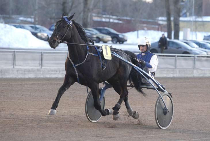 1 2 3 YUCAY BOKO 40.000 kr SERGEI HANOVER 37.500 kr CROWN IMPERIAL 36.