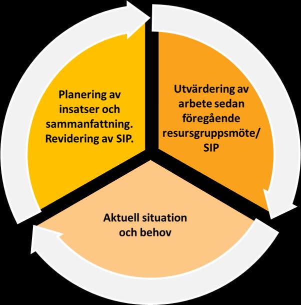 att ge både personen själv och personal kunskap om behov av stöd inom samtliga livsområden. 2. Sammanställning. I sammanställning av kartläggningen kan arbetsblad från RACT användas med samma namn. 3.