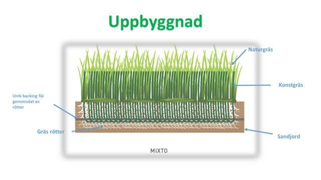 Hybridgräs kan konstrueras enligt två modeller: Carpet-hybrid och Stitch-hybrid. I Figur 5 visas Carpet-hybridens uppbyggnad i genomskärning.