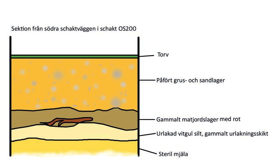 Arkeologgruppen AB rapport 2016:67 Figur 5. Sektion genom lagren i schaktkanten av schakt S200. Skala 1:20.