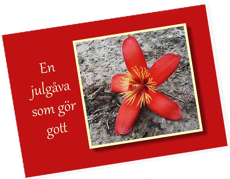 Mejla gärna uppgifterna till: susisverige@gmail.com. Batikmönstrade herrskjortor. Schysst julmarknaderna är ett alternativ och komplement till den traditionella julhandeln.