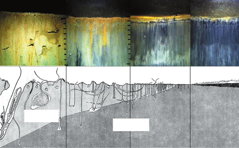 Sediment profils bilder Generell Model OXIDERAT SEDIMENT T.K. 1 BHQ > 1 1. REDUCERAT SEDIMENT T.K. 3 