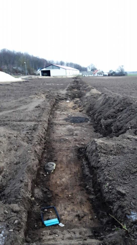 Schakt 21 löper parallellt med buskaget framför huset. Området är beläget på svag förhöjning.