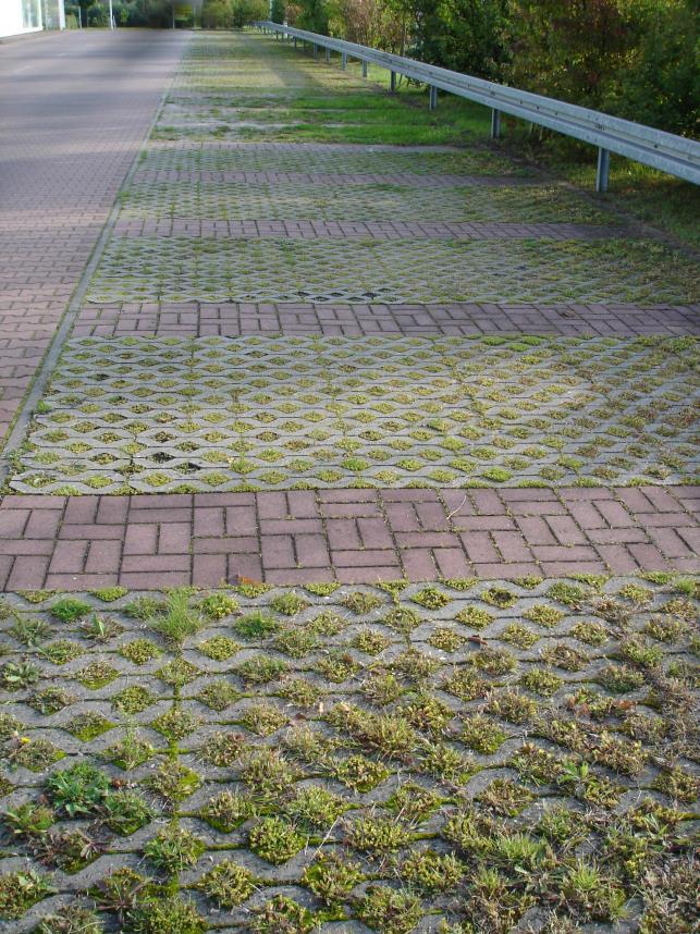 Figur 13. Exempel på genomsläppligt material på parkering i form av gräsarmering. Bild: WRS AB 5.3 Höga flöden Bortledning av dagvatten kan bli ett problem vid extremt höga flöden i Eskilstunaån.