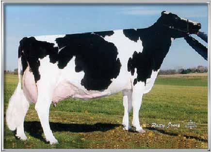 VanDyk-K Integrity EX97