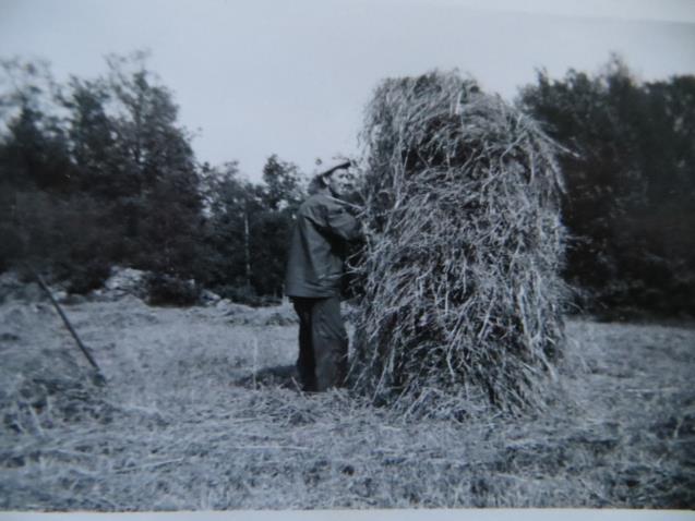 höet. Alfons och